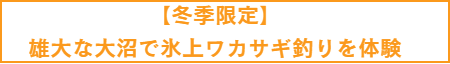 ワカサギ釣り紹介ページ