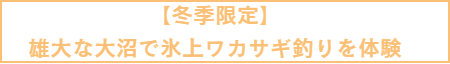 ワカサギ釣り紹介ページ