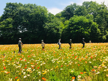 四季折々の花々が彩る景色