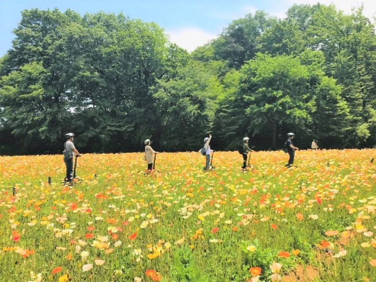 武蔵丘陵森林公園セグウェイツアー季節ごとの見所をめぐる
