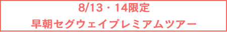 セグウェイツアー予約ボタン