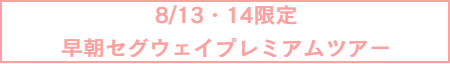 セグウェイツアー予約ボタン