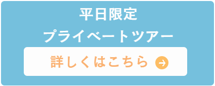 Showa Memorial Park Segway Tour Private Tour is here