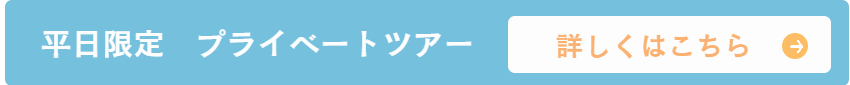 Showa Memorial Park Segway Tour Private Tour is here