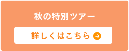 秋の特別ツアー予約ボタン
