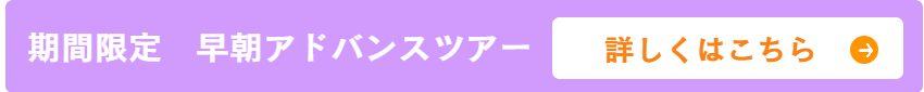 昭和記念公園セグウェイツアープライベートツアーはこちら