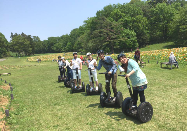 ネイチャーガイドツアー  in 国営武蔵丘陵森林公園 紹介写真